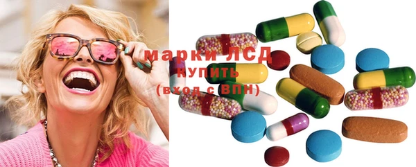 PSILOCYBIN Липки