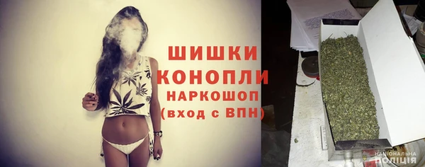 PSILOCYBIN Липки