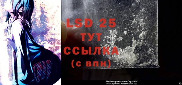 PSILOCYBIN Липки