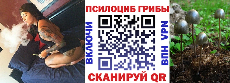 Галлюциногенные грибы мицелий  Купить закладки  Мирный 