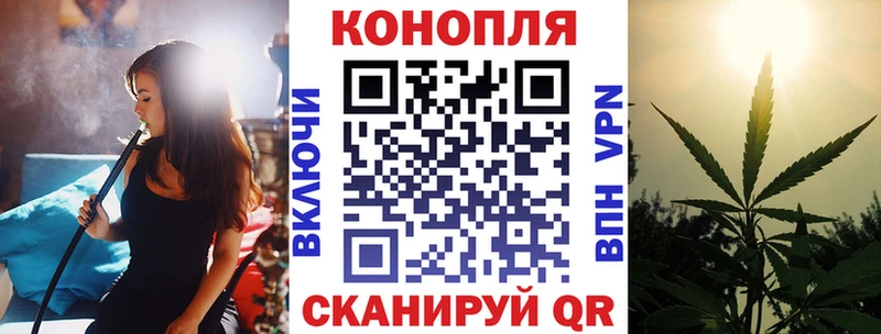 Каннабис OG Kush Мирный